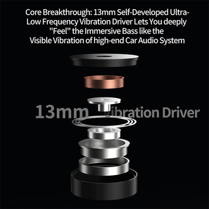 KZ Vibe X Vibrating Earphones Vibex